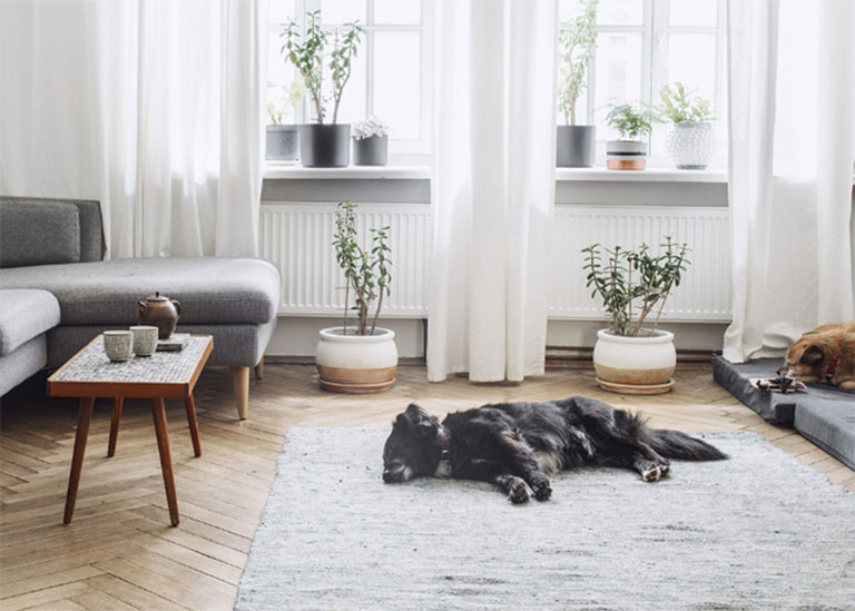 Home Almond, NY Mullen Factory Direct Flooring